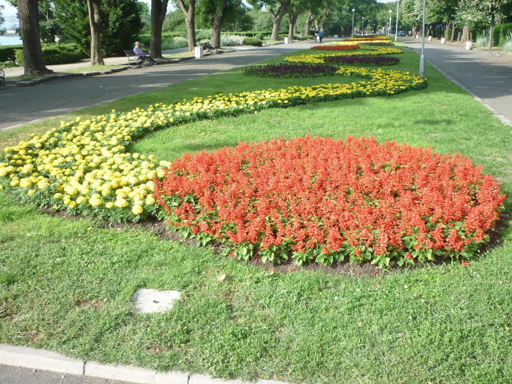 Sea Garden Plaza Apartment - Free Parking Burgas Pokój zdjęcie